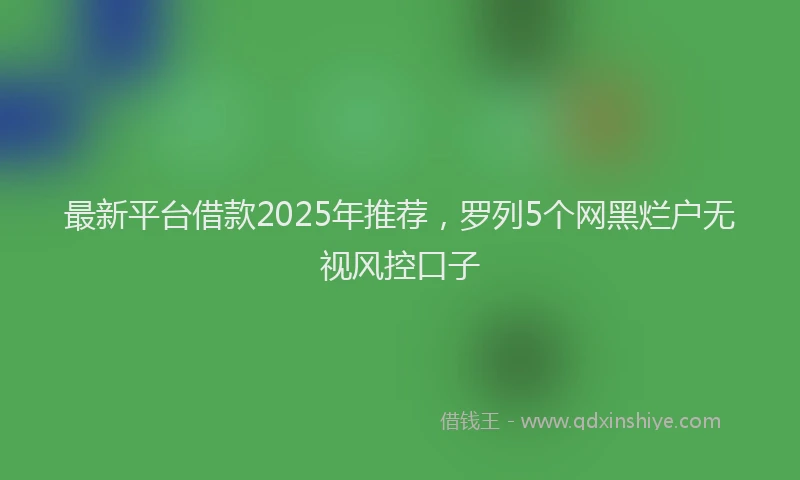最新平台借款2025年推荐，罗列5个网黑烂户无视风控口子