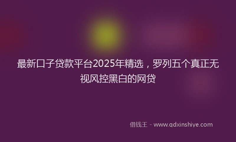 最新口子贷款平台2025年精选，罗列五个真正无视风控黑白的网贷