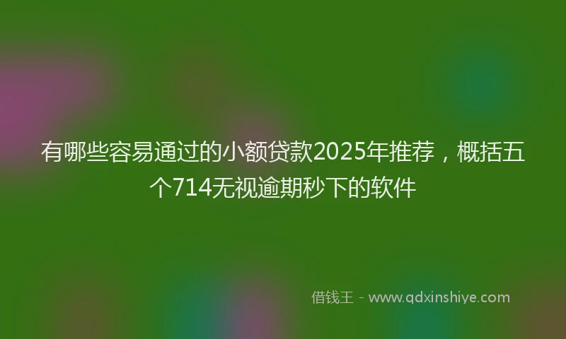 有哪些容易通过的小额贷款2025年推荐，概括五个714无视逾期秒下的软件