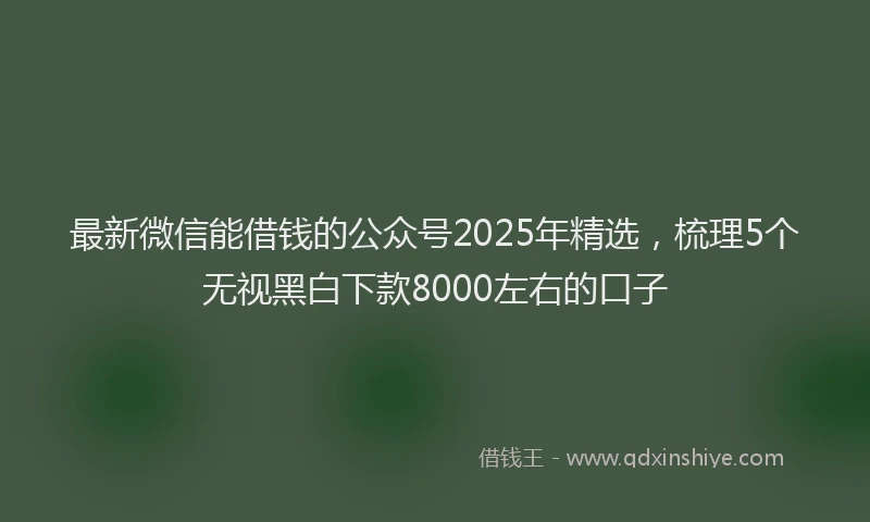 最新微信能借钱的公众号2025年精选，梳理5个无视黑白下款8000左右的口子