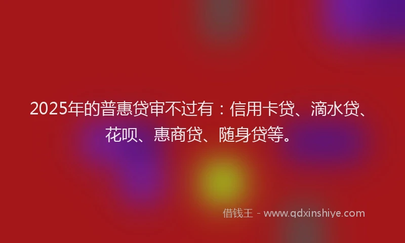 2025年的普惠贷审不过有：信用卡贷、滴水贷、花呗、惠商贷、随身贷等。