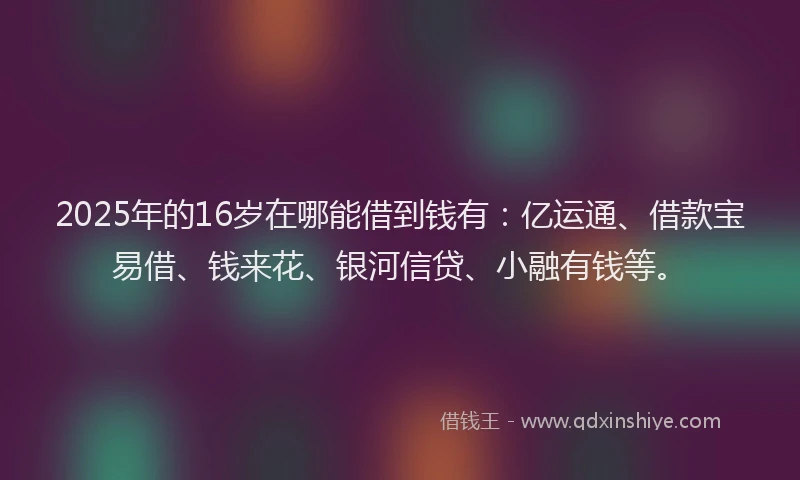 2025年的16岁在哪能借到钱有:亿运通、借款宝易借、钱来花、银河信贷、小融有钱等。