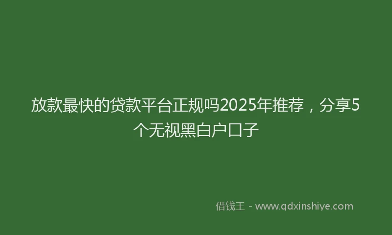 放款最快的贷款平台正规吗2025年推荐，分享5个无视黑白户口子