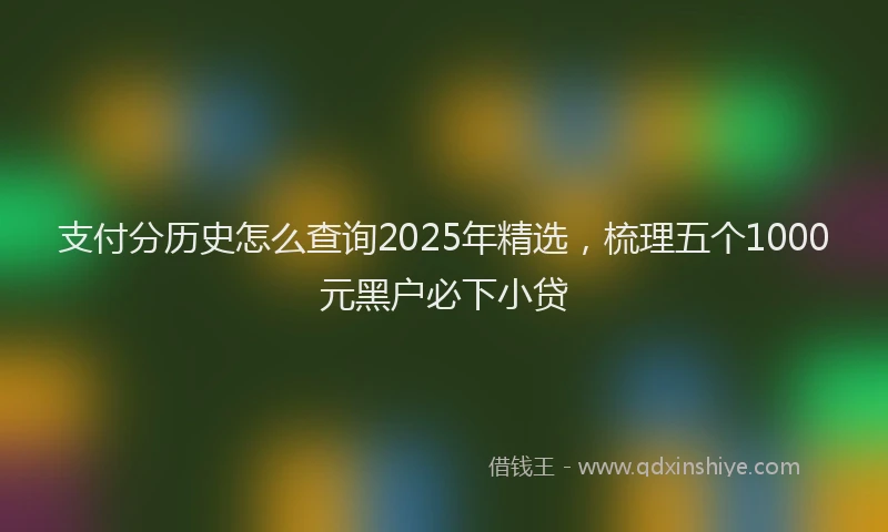 支付分历史怎么查询2025年精选，梳理五个1000元黑户必下小贷