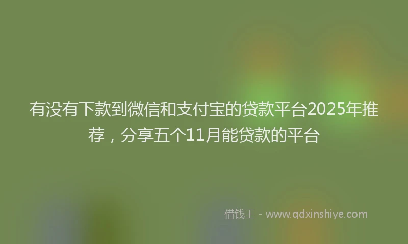 有没有下款到微信和支付宝的贷款平台2025年推荐，分享五个11月能贷款的平台