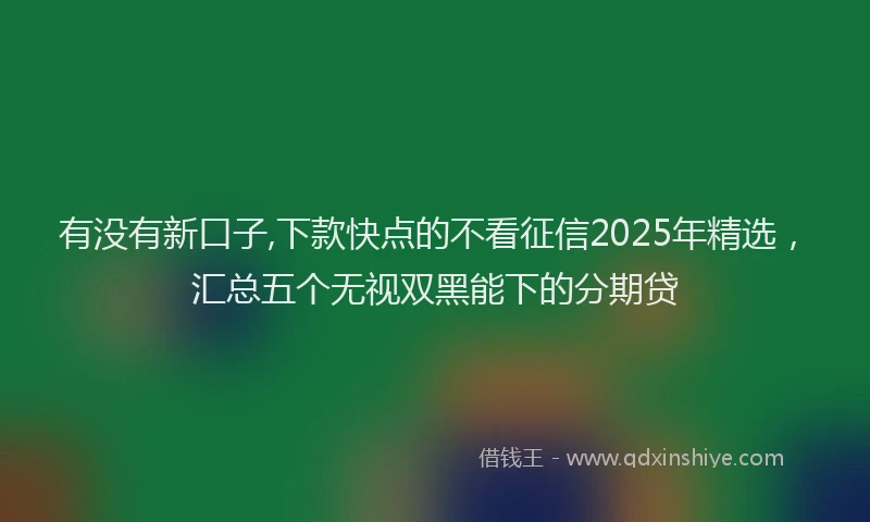 有没有新口子,下款快点的不看征信2025年精选，汇总五个无视双黑能下的分期贷
