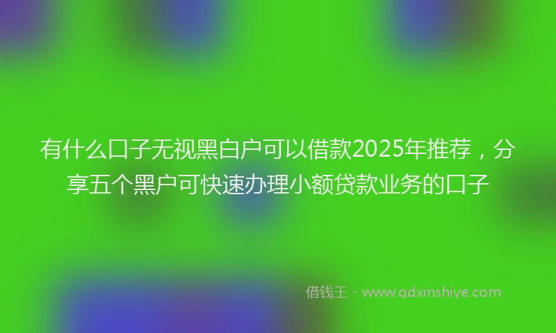 有什么口子无视黑白户可以借款2025年推荐，分享五个黑户可快速办理小额贷款业务的口子