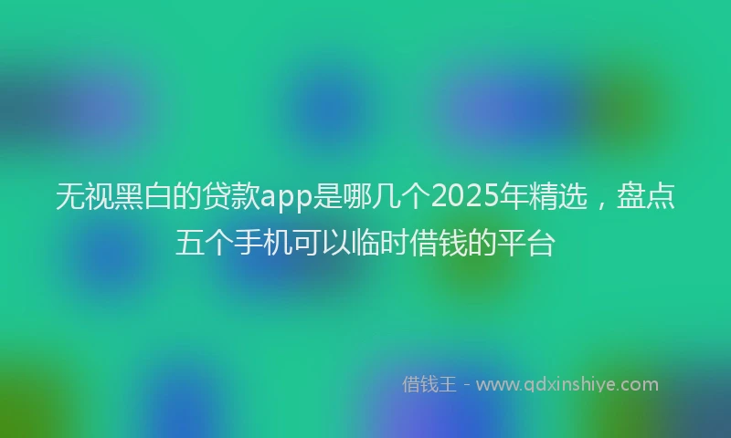 无视黑白的贷款app是哪几个2025年精选，盘点五个手机可以临时借钱的平台