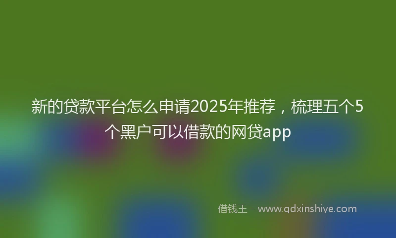 新的贷款平台怎么申请2025年推荐，梳理五个5个黑户可以借款的网贷app