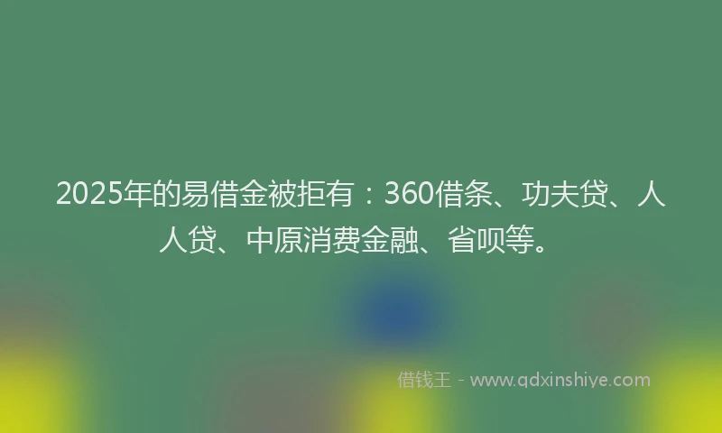 2025年的易借金被拒有：360借条、功夫贷、人人贷、中原消费金融、省呗等。