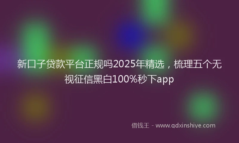 新口子贷款平台正规吗2025年精选，梳理五个无视征信黑白100%秒下app