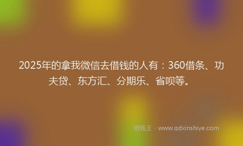 2025年的拿我微信去借钱的人有：360借条、功夫贷、东方汇、分期乐、省呗等。