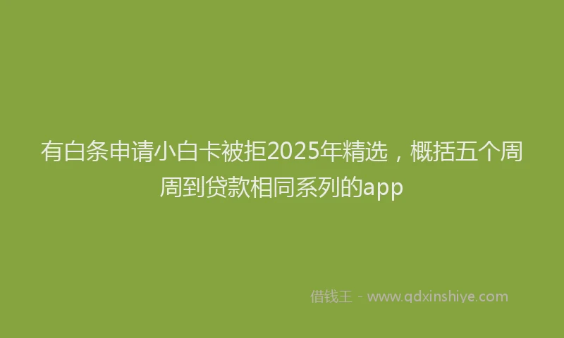 有白条申请小白卡被拒2025年精选，概括五个周周到贷款相同系列的app