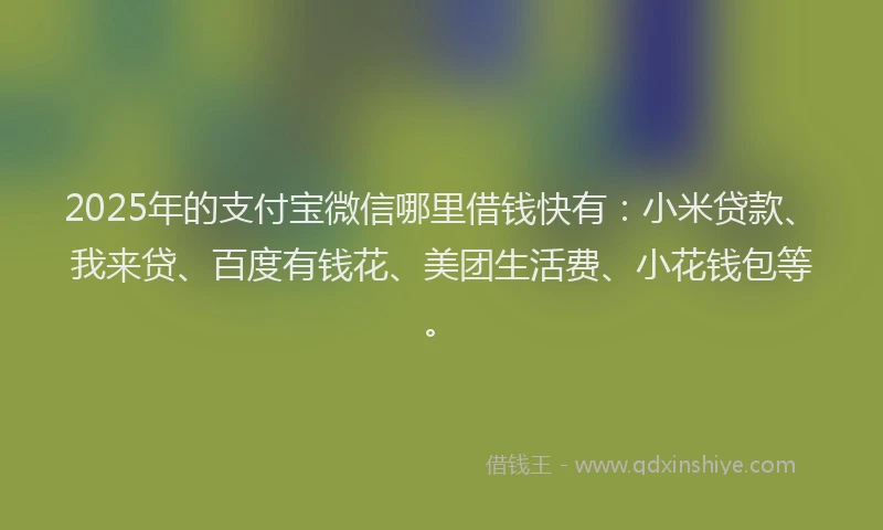 2025年的支付宝微信哪里借钱快有：小米贷款、我来贷、百度有钱花、美团生活费、小花钱包等。
