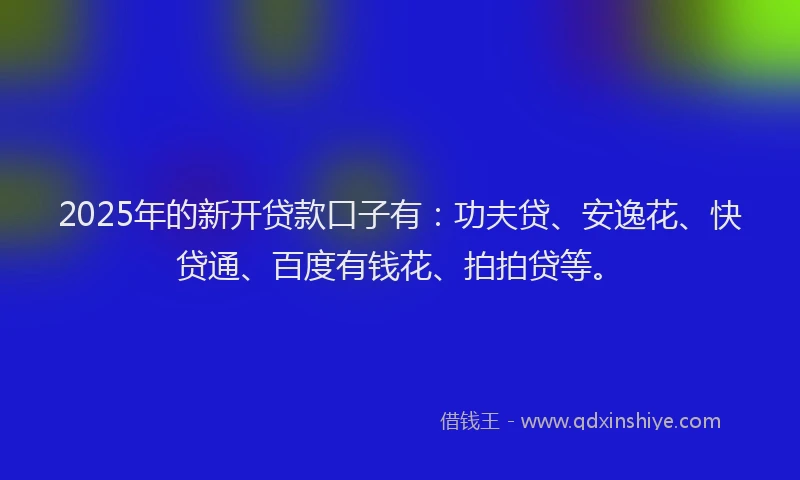 2025年的新开贷款口子有：功夫贷、安逸花、快贷通、百度有钱花、拍拍贷等。