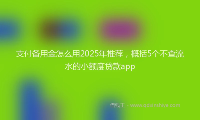 支付备用金怎么用2025年推荐，概括5个不查流水的小额度贷款app