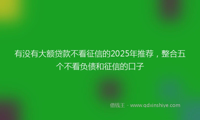 有没有大额贷款不看征信的2025年推荐，整合五个不看负债和征信的口子
