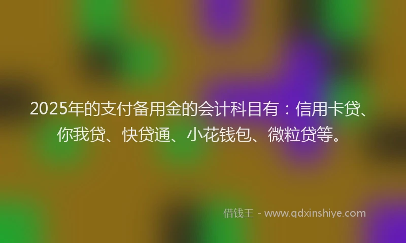 2025年的支付备用金的会计科目有：信用卡贷、你我贷、快贷通、小花钱包、微粒贷等。