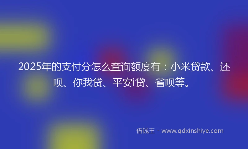 2025年的支付分怎么查询额度有：小米贷款、还呗、你我贷、平安i贷、省呗等。
