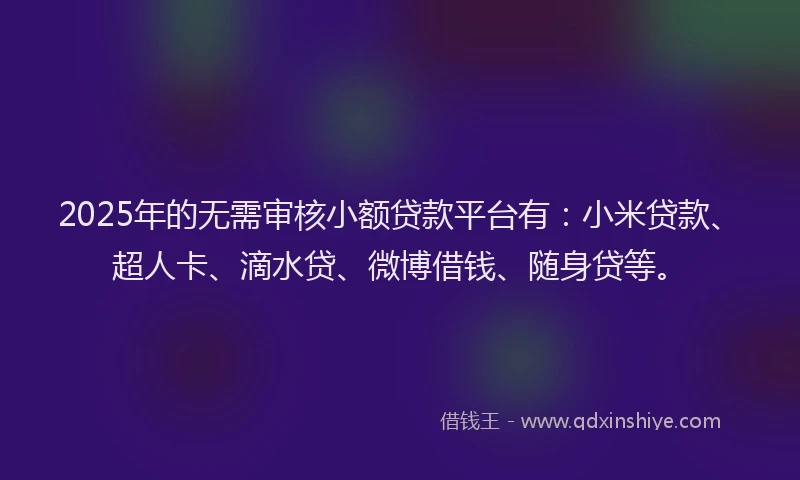2025年的无需审核小额贷款平台有：小米贷款、超人卡、滴水贷、微博借钱、随身贷等。