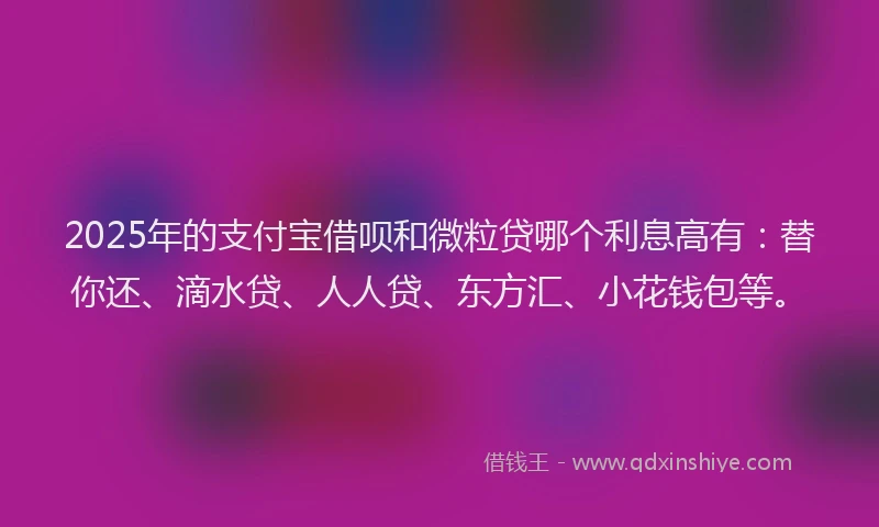 2025年的支付宝借呗和微粒贷哪个利息高有：替你还、滴水贷、人人贷、东方汇、小花钱包等。
