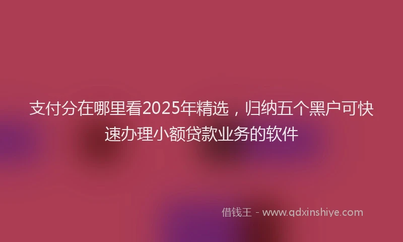 支付分在哪里看2025年精选，归纳五个黑户可快速办理小额贷款业务的软件