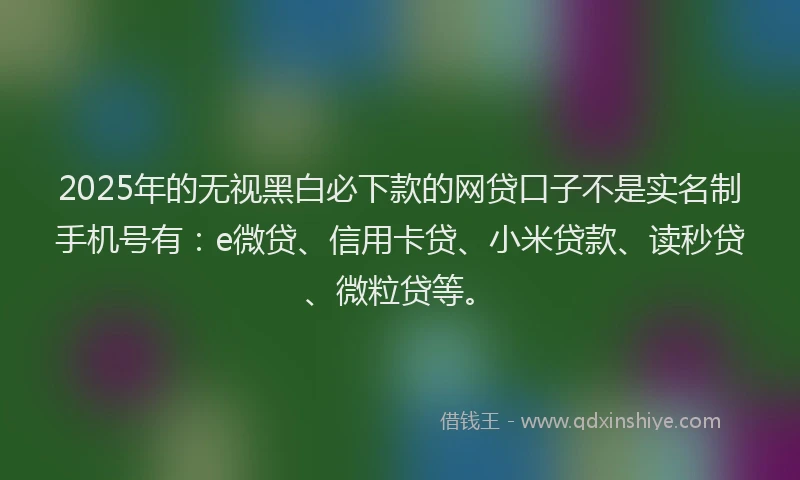 2025年的无视黑白必下款的网贷口子不是实名制手机号有：e微贷、信用卡贷、小米贷款、读秒贷、微粒贷等。