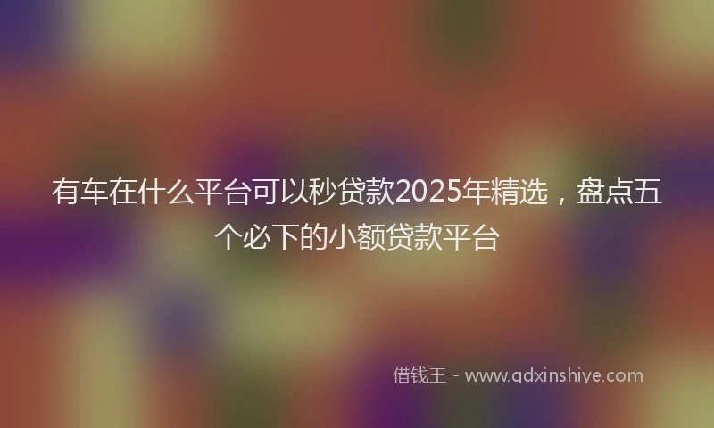 有车在什么平台可以秒贷款2025年精选，盘点五个必下的小额贷款平台