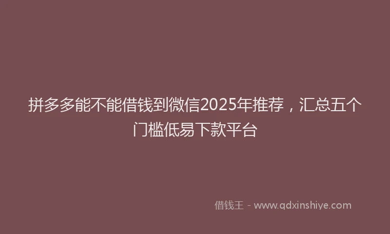 拼多多能不能借钱到微信2025年推荐，汇总五个门槛低易下款平台
