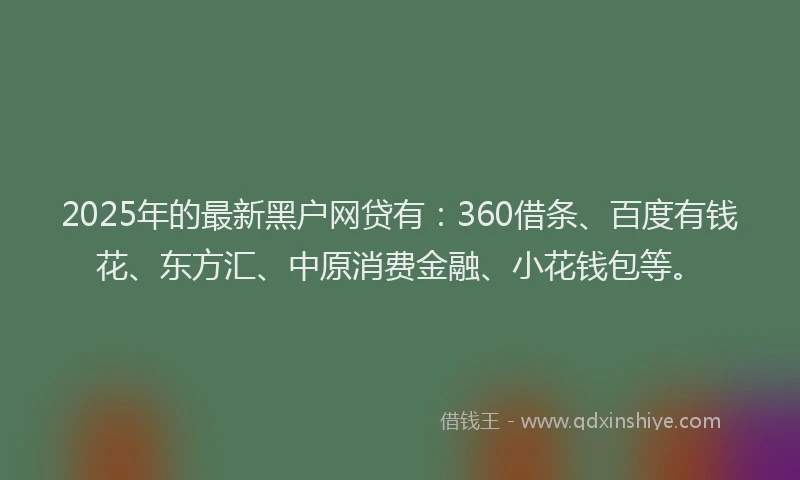 2025年的最新黑户网贷有：360借条、百度有钱花、东方汇、中原消费金融、小花钱包等。