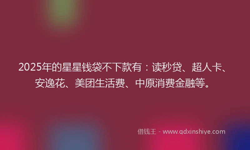 2025年的星星钱袋不下款有：读秒贷、超人卡、安逸花、美团生活费、中原消费金融等。