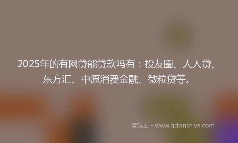 2025年的有网贷能贷款吗有：投友圈、人人贷、东方汇、中原消费金融、微粒贷等。