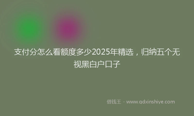 支付分怎么看额度多少2025年精选，归纳五个无视黑白户口子
