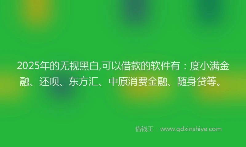 2025年的无视黑白,可以借款的软件有：度小满金融、还呗、东方汇、中原消费金融、随身贷等。