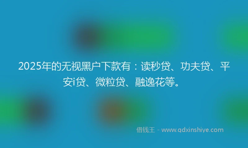 2025年的无视黑户下款有：读秒贷、功夫贷、平安i贷、微粒贷、融逸花等。