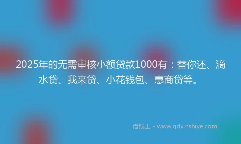 2025年的无需审核小额贷款1000有：替你还、滴水贷、我来贷、小花钱包、惠商贷等。