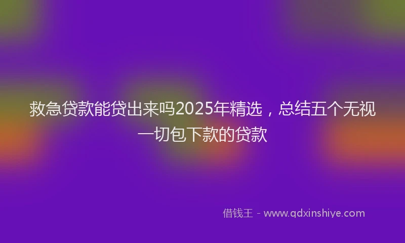救急贷款能贷出来吗2025年精选，总结五个无视一切包下款的贷款