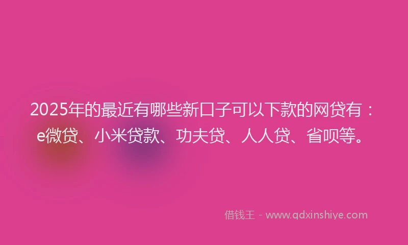 2025年的最近有哪些新口子可以下款的网贷有：e微贷、小米贷款、功夫贷、人人贷、省呗等。