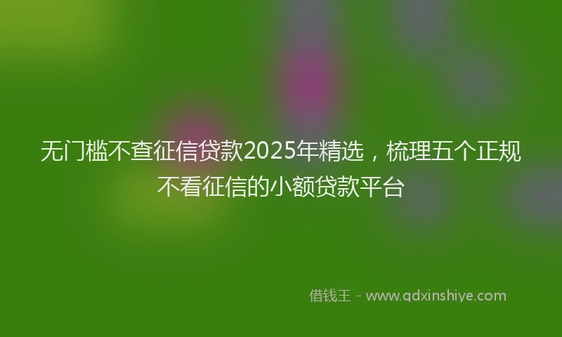 无门槛不查征信贷款2025年精选，梳理五个正规不看征信的小额贷款平台
