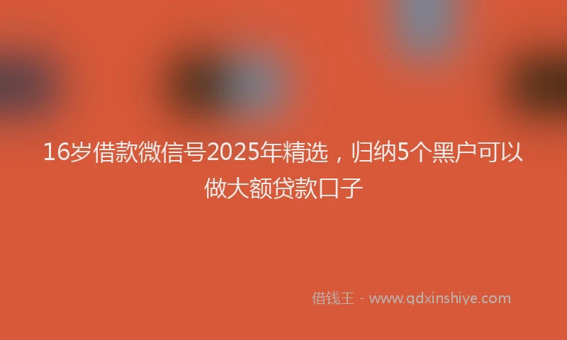16岁借款微信号2025年精选，归纳5个黑户可以做大额贷款口子