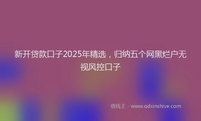新开贷款口子2025年精选，归纳五个网黑烂户无视风控口子