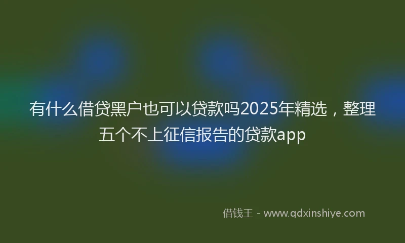 有什么借贷黑户也可以贷款吗2025年精选，整理五个不上征信报告的贷款app