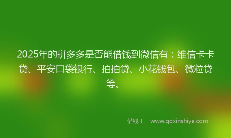 2025年的拼多多是否能借钱到微信有：维信卡卡贷、平安口袋银行、拍拍贷、小花钱包、微粒贷等。