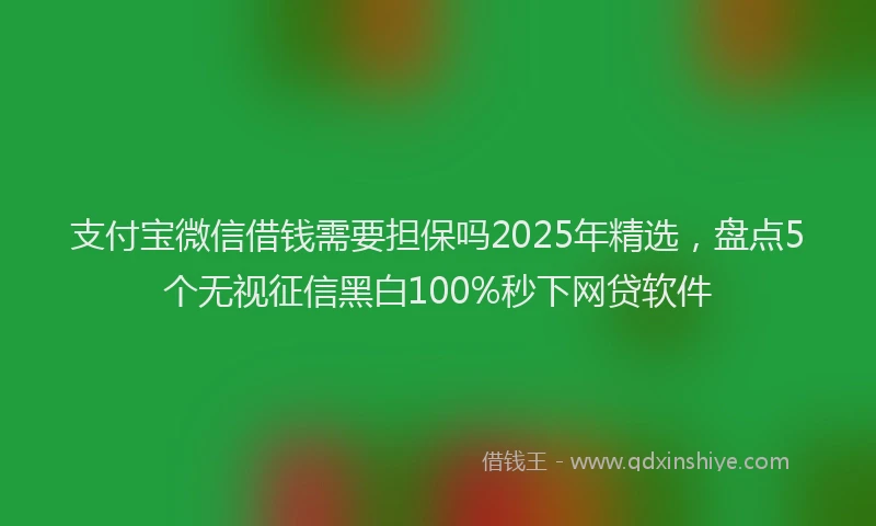 支付宝微信借钱需要担保吗2025年精选，盘点5个无视征信黑白100%秒下网贷软件