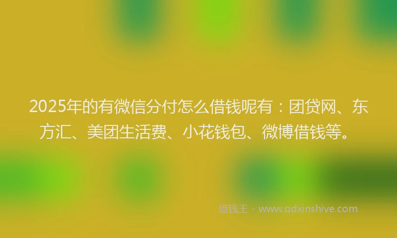 2025年的有微信分付怎么借钱呢有：团贷网、东方汇、美团生活费、小花钱包、微博借钱等。