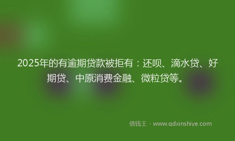 2025年的有逾期贷款被拒有：还呗、滴水贷、好期贷、中原消费金融、微粒贷等。