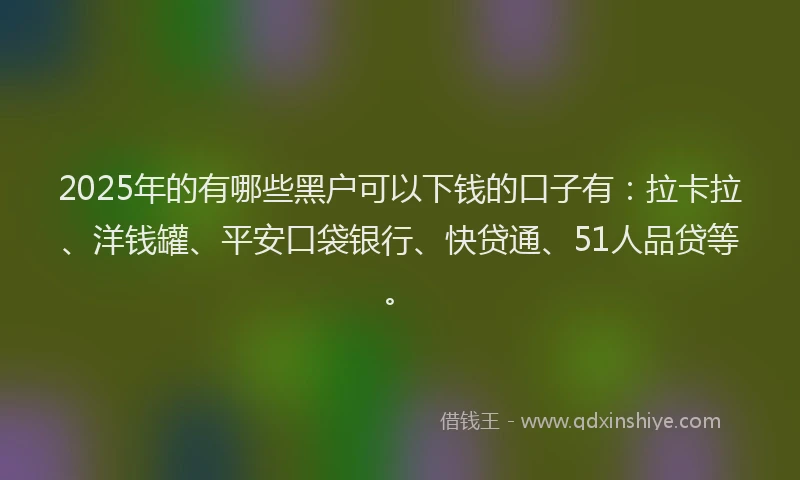 2025年的有哪些黑户可以下钱的口子有：拉卡拉、洋钱罐、平安口袋银行、快贷通、51人品贷等。
