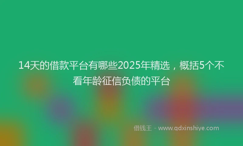 14天的借款平台有哪些2025年精选，概括5个不看年龄征信负债的平台