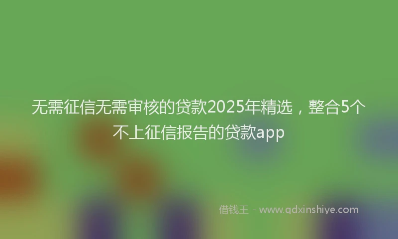 无需征信无需审核的贷款2025年精选，整合5个不上征信报告的贷款app