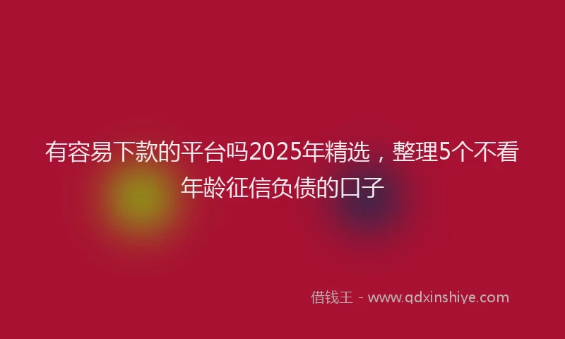 有容易下款的平台吗2025年精选，整理5个不看年龄征信负债的口子
